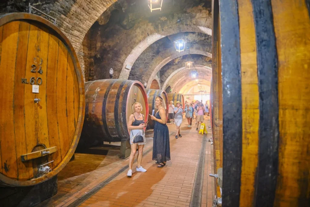 From Florence Val D'Orcia Tour with Wine Tasting