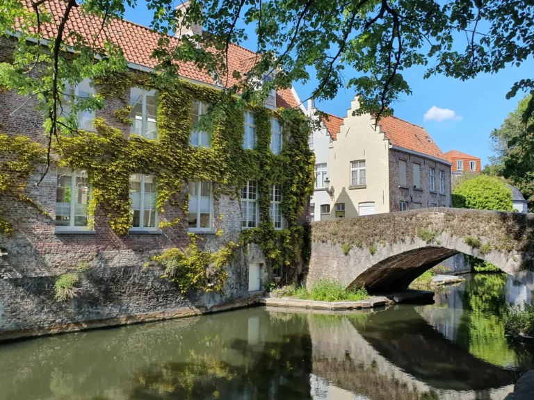 Top 5 Things to do in Bruges