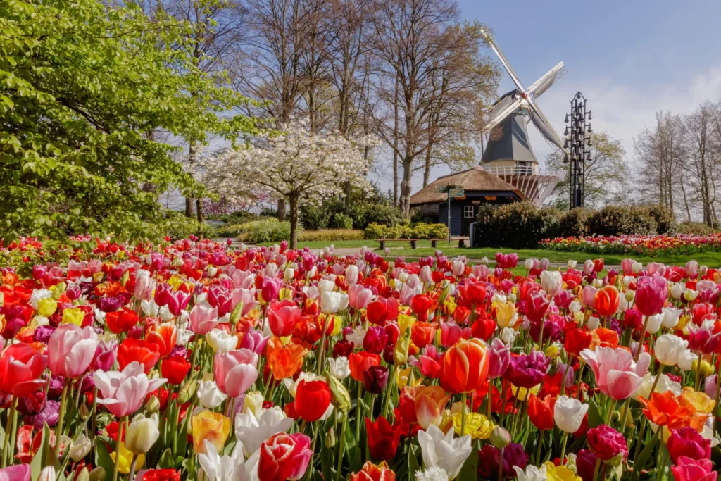 Keukenhof Gardens
