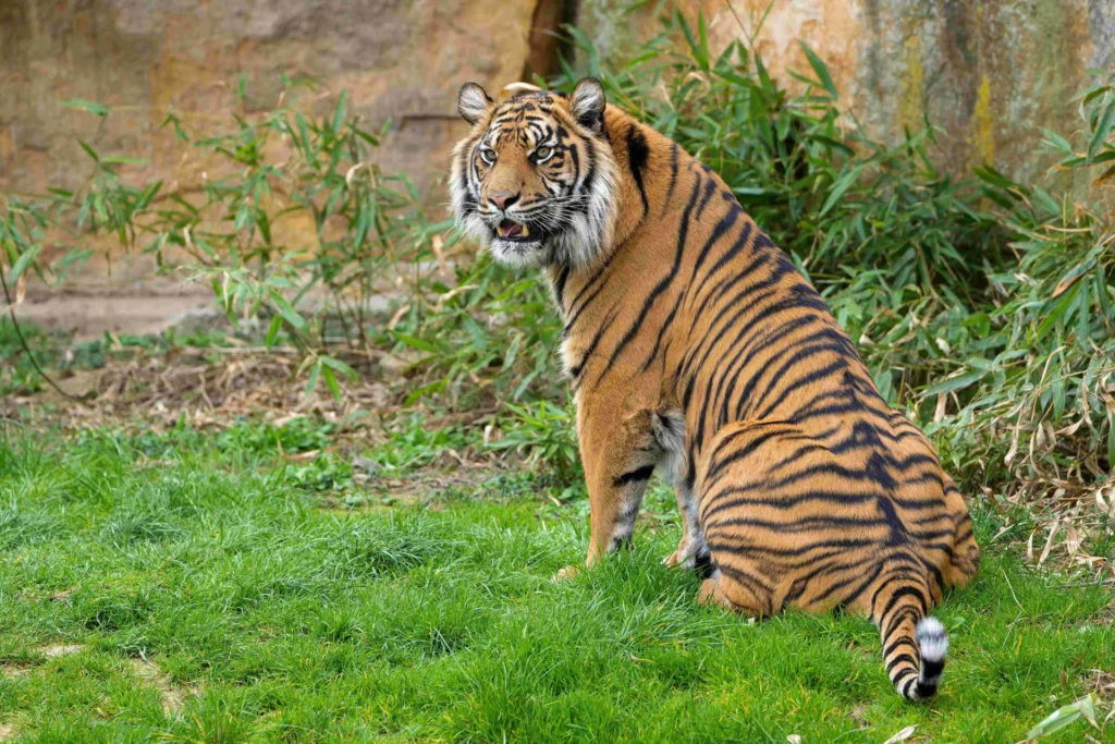 Prague Zoo