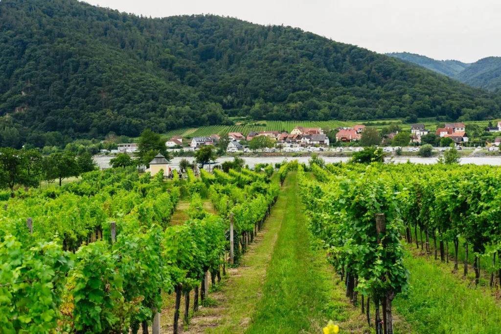 Wachau Valley